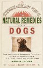 Veterinarian's Guide to Natural Remedies for Dogs