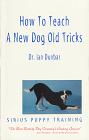 how to teach a new dog